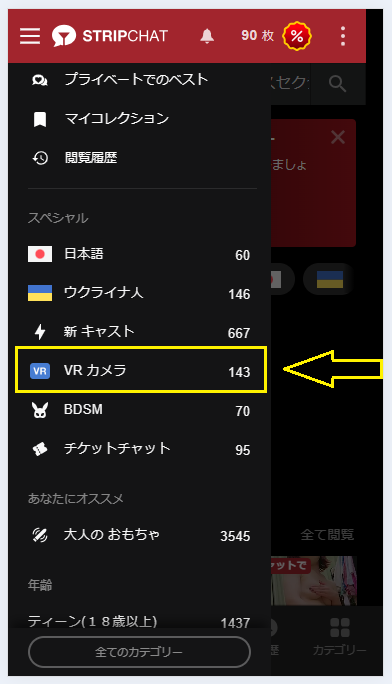 ストリップチャットでVRを視聴する手順