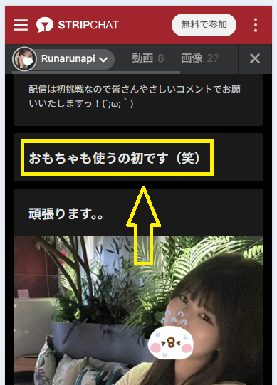大人のおもちゃ