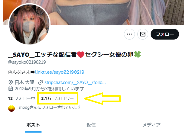 SAYOのフォロワー数