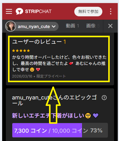 ユーザーレビュー